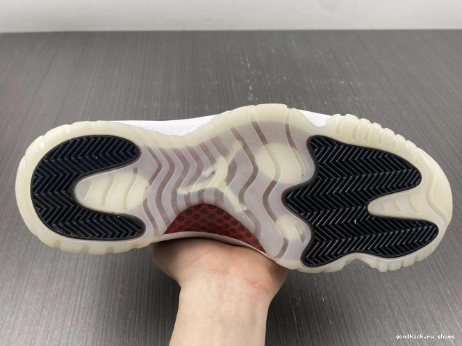 Rep Air 72-10 AV2187-001 11 Low Jordan Retro 0806